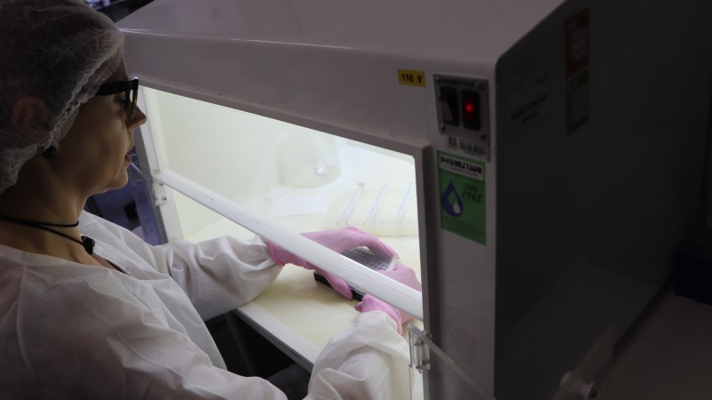 Uma profissional de saúde manipula amostras dentro de um equipamento. 