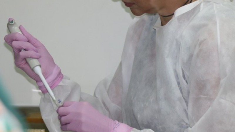  Uma profissional de saúde uniformizada faz um exame técnico de laboratório. 