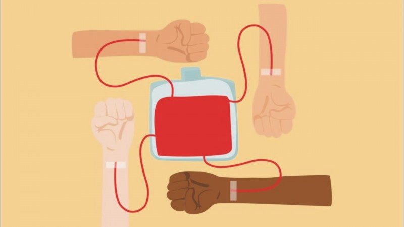 Card Junho Vermelho: quatro braços estilizados recebem transfusão de sangue de uma mesma bolsa. 