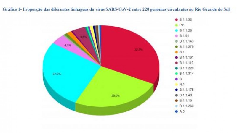 Imagem de um gráfico sobre as linhagens.