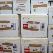 A imagem mostra caixas de vacinas empilhadas. 