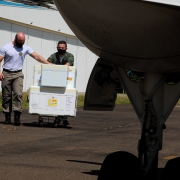 Dois funcionários empurram algumas caixas grandes de isopor num carrinho para botar no avião.  