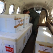 Um funcionário ajeita caixas grandes de isopor dentro do avião. 