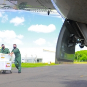 Dois funcionários empurram algumas caixas grandes de isopor num carrinho para botar no avião.