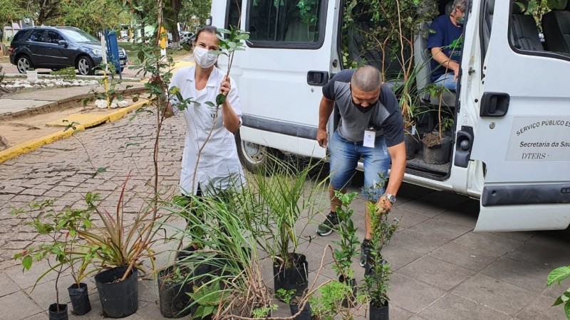 Dois funcionários, uma mulher e um homem, organizam as mudas de plantas no chão. Atrás deles, uma van com outro funcionário e várias mudas.