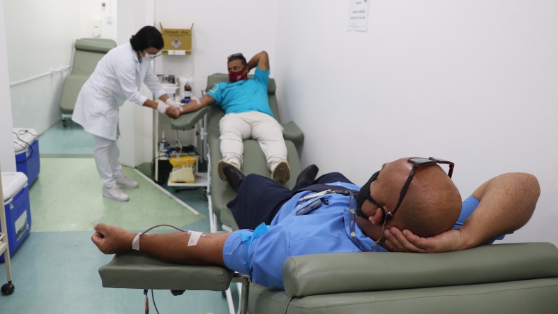 Sentados em cadeiras, dois homens doam sangue. Uma profissional de saúde acompanha um deles. 