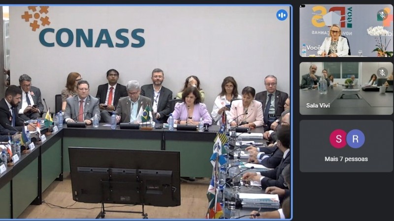 Print da tela mostrando a reunião presencial, em Brasília, e a participação da Secretária Arita por videoconferência. 