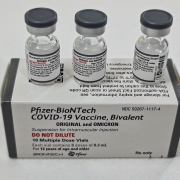 Vacinas bivalentes contam com cepas atualizadas contra o coronavírus, incluindo a proteção contra a variante Ômicron.
