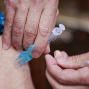 Vacinação covid-19 em idosos é a principal forma de proteção contra a doença.