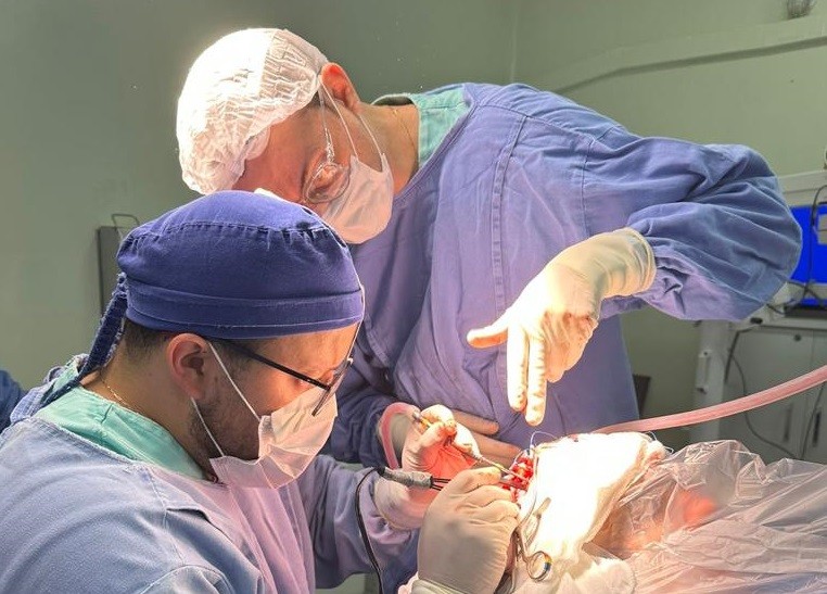 Avanços nas cirurgias com os pacientes acordados desvendam o cérebro