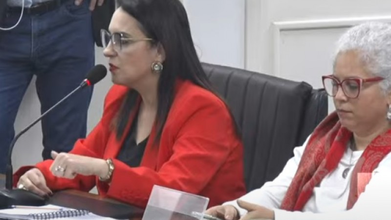 Lisiane Fagundes Assembleia