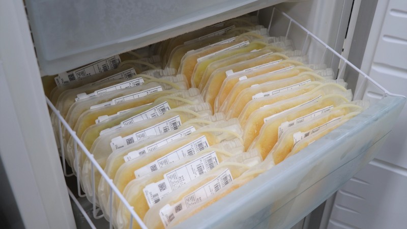 Gaveta de um refrigerador do Hemocentro puxada para fora. Dentro estão bolsas de plasma etiquetados. O plasma é um líquido em tom amarelado.
