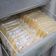 Gaveta de um refrigerador do Hemocentro puxada para fora. Dentro estão bolsas de plasma etiquetados. O plasma é um líquido em tom amarelado.