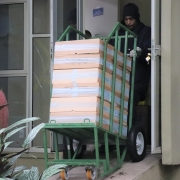Carregador do caminhão de transporte especializado empurra carrinho verde com as caixas contendo plasma. A porta do Hemocentro está aberta. No canto inferior esquerdo algumas folhagens do pátio aparecem na foto.