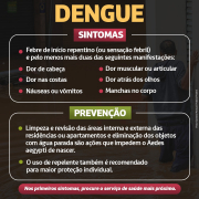 Doenças relacionadas às enchentes - Dengue