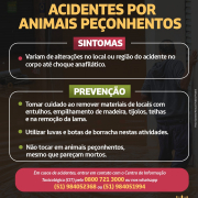 Doenças relacionadas às enchentes - Acidentes por animais peçonhentos
