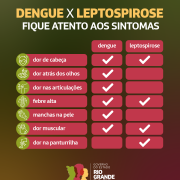 Sintomas da dengue e leptospirose