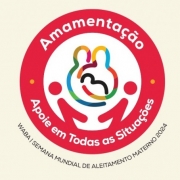 Seminário aleitamento 2024