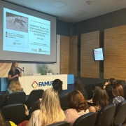 Auditório cheio assistindo uma palestrante que fala ao microfone e uma tela ao fundo com uma apresentação sobre a dengue