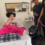 Um quarto de hospital com uma criança acamada,  um cão preto de tamanho com outro ao lado grande com coleira cor de rosa sendo segurada por uma mão de um homem 