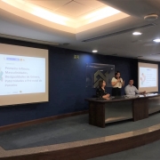 Em um auditório com paredes na cor azul marinho e carpete na cor cinza está disposta uma mesa de madeira em tom de marrom escuro no lado direito. Nela, estão sentados uma mulher de cabelo castanho na altura dos ombros vestindo uma blusa preta e um homem grisalho de camisa azul clara. No meio Carolina Drügg, uma mulher de cabelos pretos na altura dos ombros, vestindo uma blusa branca fala ao microfone. No lado esquerdo uma tela de projeção traz o logo do seminário em fundo branco e com os dizeres: Primeira Infância, Masculinidades, Desigualdade de Gênero, Paternidades e Pré-natal do Parceiro.