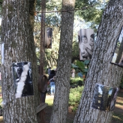 Fotos em preto e branco suspensas entre dois troncos de árvore fazem parte de instalação.