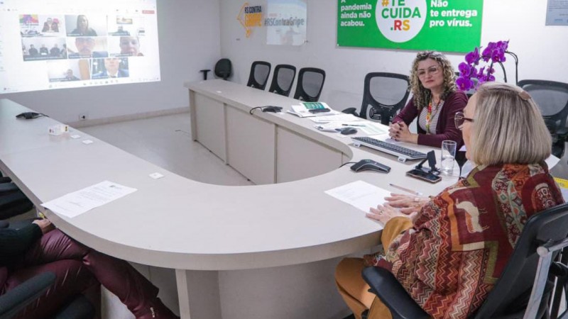 Imagem mostra Arita Bergmann, de costas, em primeiro plano, falando aos demais participantes, online, da assinatura do convênio