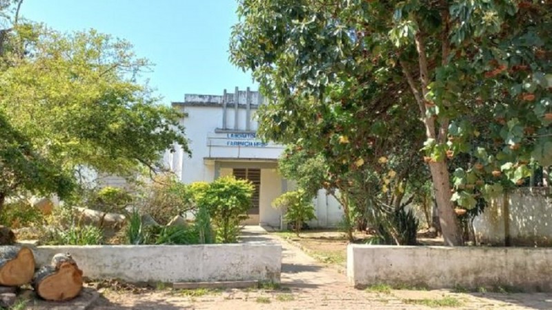 A imagem mostra a fachada de um pr&eacute;dio antigo, parcialmente oculto por &aacute;rvores e vegeta&ccedil;&atilde;o. No centro, h&aacute; uma entrada com uma porta simples e, acima dela, uma placa com o texto &ldquo;Escola Farmac&ecirc;utica&rdquo; vis&iacute;vel. O caminho at&eacute; a entrada &eacute; pavimentado com blocos e ladeado por canteiros baixos de concreto, contendo plantas e arbustos. &Agrave; esquerda, h&aacute; troncos de &aacute;rvores cortadas, e &agrave; direita, uma &aacute;rvore grande com folhagem densa. O cen&aacute;rio &eacute; iluminado por luz natural intensa, sugerindo um dia ensolarado.