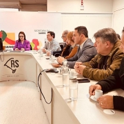 Imagem de um ambiente de reuni&atilde;o, mostrando uma mesa em formato de &ldquo;U&rdquo;. Em destaque, v&aacute;rias pessoas est&atilde;o sentadas lado a lado, voltadas para o centro da discuss&atilde;o. Sobre a mesa h&aacute; copos de &aacute;gua, pires, x&iacute;caras e aparelhos eletr&ocirc;nicos. Ao fundo, h&aacute; um painel institucional com os logotipos da Secretaria da Sa&uacute;de e do Governo do Estado do Rio Grande do Sul, al&eacute;m de uma identidade visual com ilustra&ccedil;&atilde;o de m&atilde;os e a palavra &ldquo;Plano&rdquo;. A sala possui ilumina&ccedil;&atilde;o no teto e paredes claras, com elementos visuais institucionais. A disposi&ccedil;&atilde;o das pessoas e dos materiais indica uma reuni&atilde;o de trabalho ou articula&ccedil;&atilde;o na &aacute;rea da sa&uacute;de p&uacute;blica.