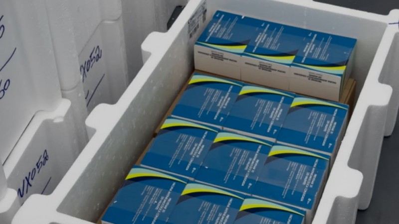 Imagem mostra uma caixa t&eacute;rmica branca, feita de material semelhante a isopor, aberta e vista de cima. Dentro da caixa h&aacute; v&aacute;rias caixas menores de medicamentos organizadas lado a lado em fileiras bem alinhadas. As embalagens s&atilde;o predominantemente azuis, com detalhes em verde e amarelo em formato de faixas curvas.
Na parte superior da caixa t&eacute;rmica, h&aacute; algumas caixas posicionadas de forma diferente, tamb&eacute;m com r&oacute;tulos azuis e brancos. Nas laterais externas da caixa t&eacute;rmica aparecem outras caixas semelhantes, com inscri&ccedil;&otilde;es escritas &agrave; m&atilde;o em tinta azul, embora o texto n&atilde;o esteja completamente leg&iacute;vel.
O ambiente aparenta ser um local de armazenamento ou distribui&ccedil;&atilde;o, com superf&iacute;cie cinza ao redor. A ilumina&ccedil;&atilde;o &eacute; uniforme e clara, permitindo ver com nitidez as embalagens e a organiza&ccedil;&atilde;o dos itens dentro do recipiente.