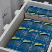 Imagem mostra uma caixa t&eacute;rmica branca, feita de material semelhante a isopor, aberta e vista de cima. Dentro da caixa h&aacute; v&aacute;rias caixas menores de medicamentos organizadas lado a lado em fileiras bem alinhadas. As embalagens s&atilde;o predominantemente azuis, com detalhes em verde e amarelo em formato de faixas curvas.
Na parte superior da caixa t&eacute;rmica, h&aacute; algumas caixas posicionadas de forma diferente, tamb&eacute;m com r&oacute;tulos azuis e brancos. Nas laterais externas da caixa t&eacute;rmica aparecem outras caixas semelhantes, com inscri&ccedil;&otilde;es escritas &agrave; m&atilde;o em tinta azul, embora o texto n&atilde;o esteja completamente leg&iacute;vel.
O ambiente aparenta ser um local de armazenamento ou distribui&ccedil;&atilde;o, com superf&iacute;cie cinza ao redor. A ilumina&ccedil;&atilde;o &eacute; uniforme e clara, permitindo ver com nitidez as embalagens e a organiza&ccedil;&atilde;o dos itens dentro do recipiente.