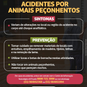 Doenças relacionadas às enchentes - animais peçonhentos