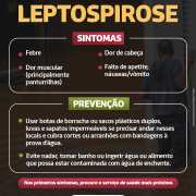 Doenças relacionadas às enchentes - leptospirose