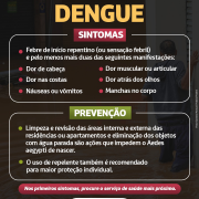 Doenças relacionadas às enchentes - dengue