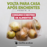 Volta para Casa   Consumo e destino de alimentos (1)