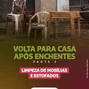 Volta para Casa   Limpeza de mobílias e estofados (1)