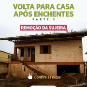 Volta para Casa   Remoção da sujeira (1)