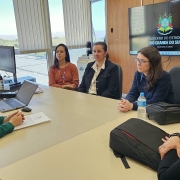 Imagem de uma reuni&atilde;o realizada em uma sala administrativa ampla e iluminada por grandes janelas com persianas verticais. Cinco pessoas est&atilde;o sentadas ao redor de uma mesa retangular clara. Sobre a mesa h&aacute; um notebook aberto, monitores de computador, garrafas de &aacute;gua, documentos e bolsas.

Na parede ao fundo, uma tela exibe a identidade visual do Governo do Estado do Rio Grande do Sul e da Secretaria da Sa&uacute;de. Ao lado da tela h&aacute; revestimento em madeira e uma porta. Pela janela &eacute; poss&iacute;vel ver parte da paisagem externa e edifica&ccedil;&otilde;es ao longe.

Os participantes est&atilde;o distribu&iacute;dos em ambos os lados da mesa, voltados para a discuss&atilde;o. O ambiente possui caracter&iacute;sticas de escrit&oacute;rio institucional, com equipamentos de inform&aacute;tica, esta&ccedil;&otilde;es de trabalho e mobili&aacute;rio corporativo.