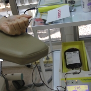 Na sala de coleta, a imagem mostra o braço de um doador e a bolsa de sangue. 